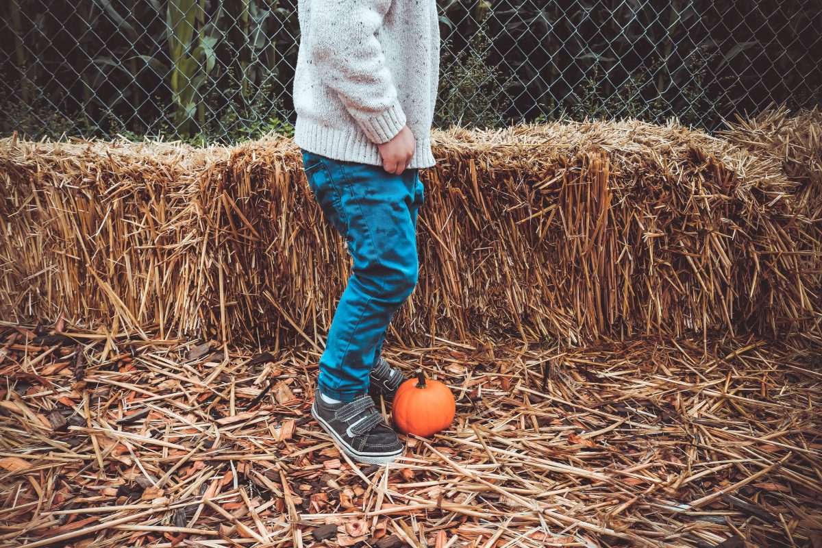 Our Fall Bucket List - Slay At Home Mother