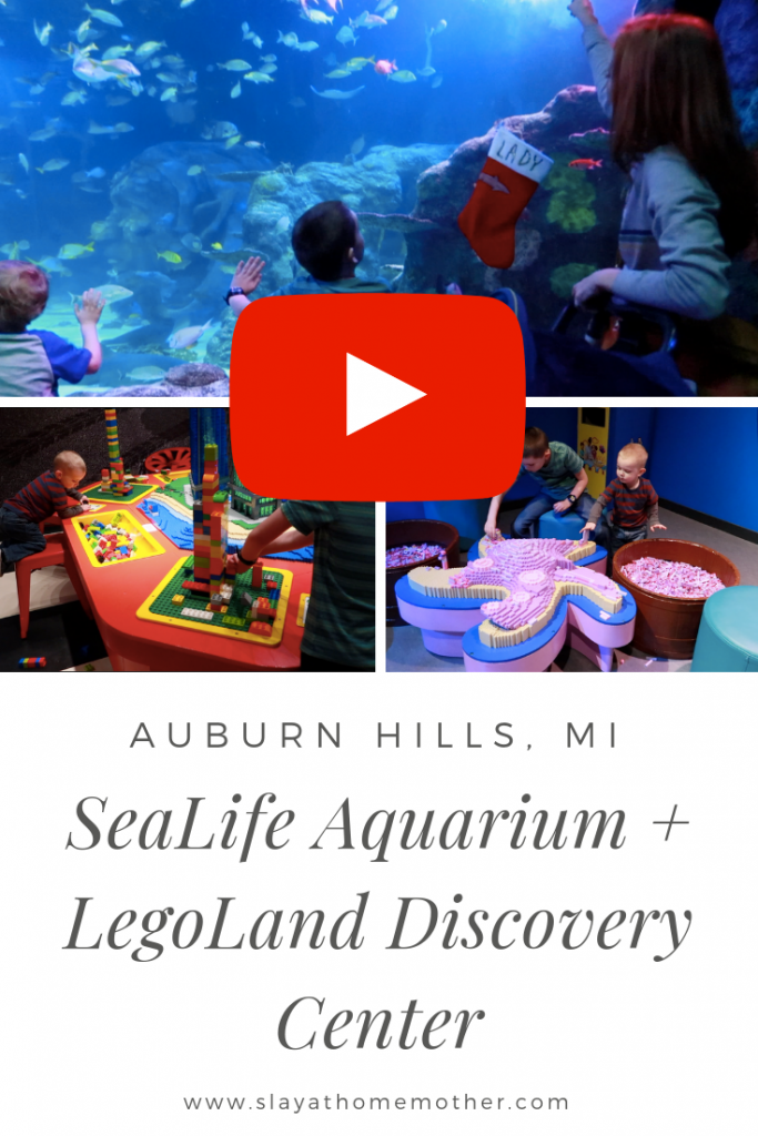 Sealife Aquarium And Legoland At Great Lakes Crossing