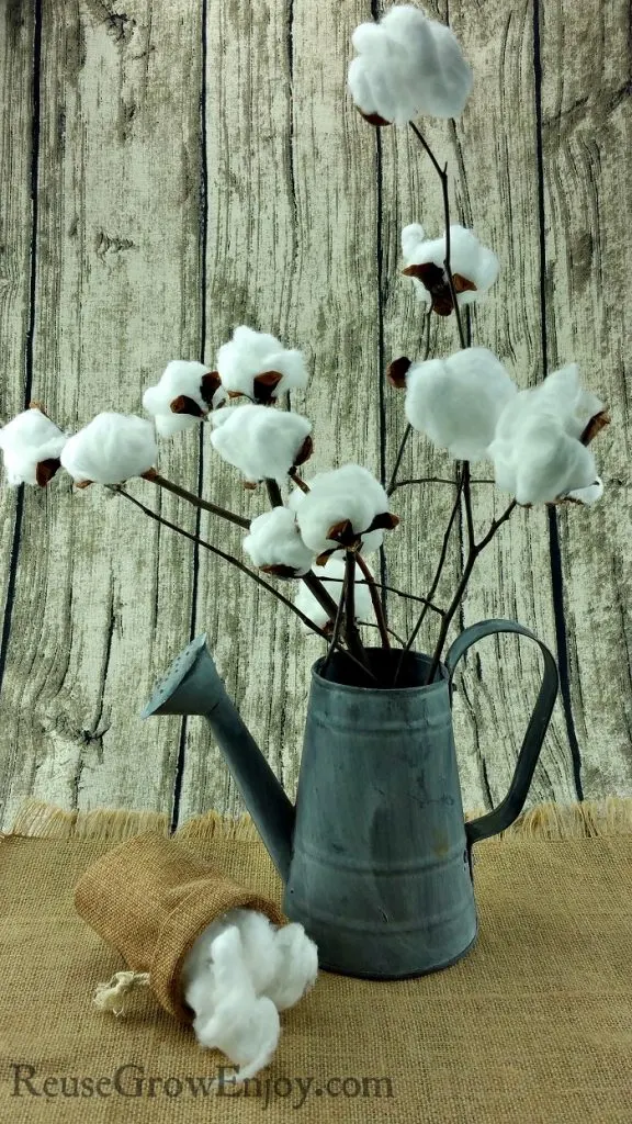 DIY-Cotton-Stem-Farmhouse-Style-Decor-576x1024