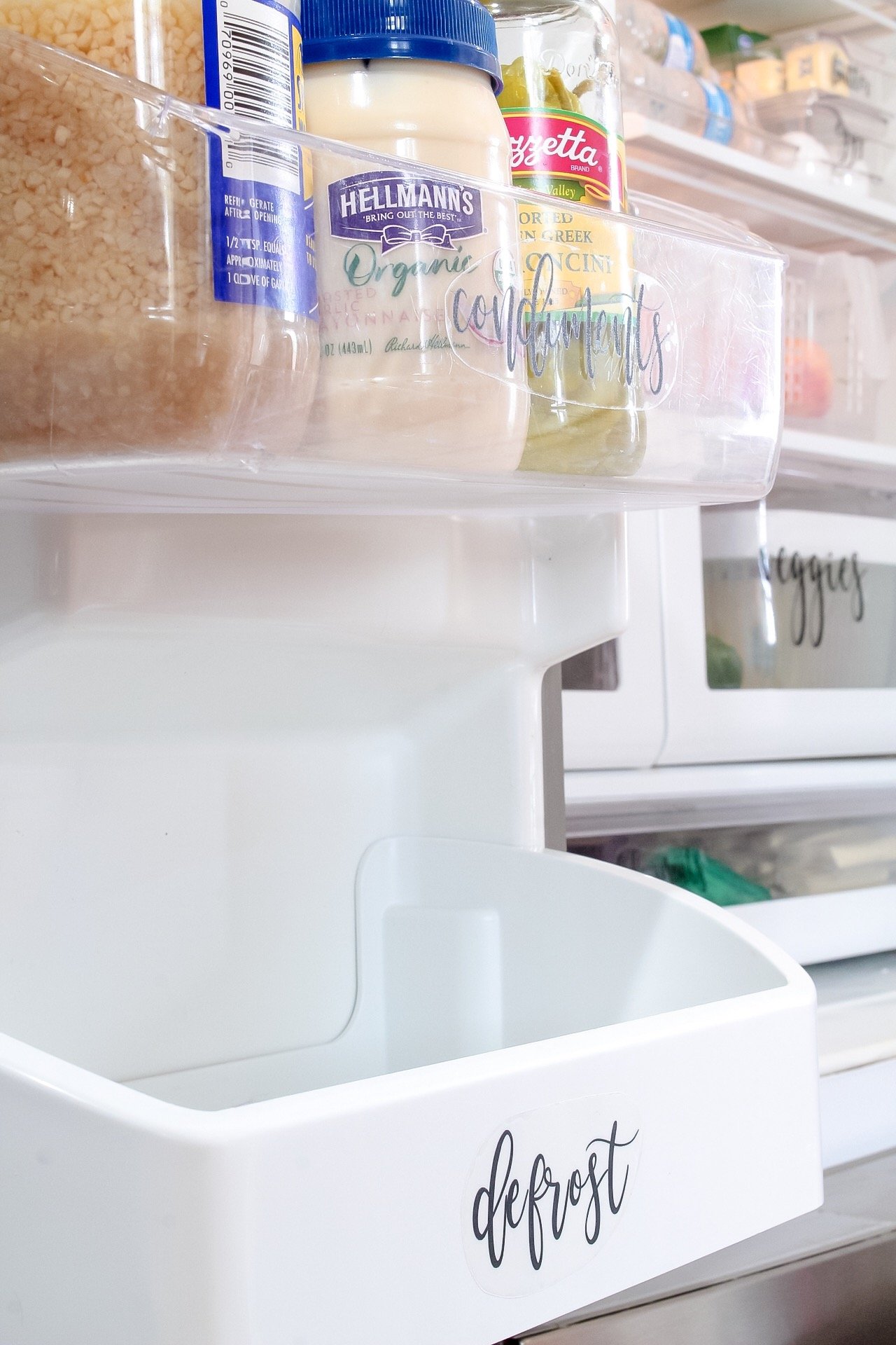 Left fridge door storage with condiments section and defrost section for frozen meats