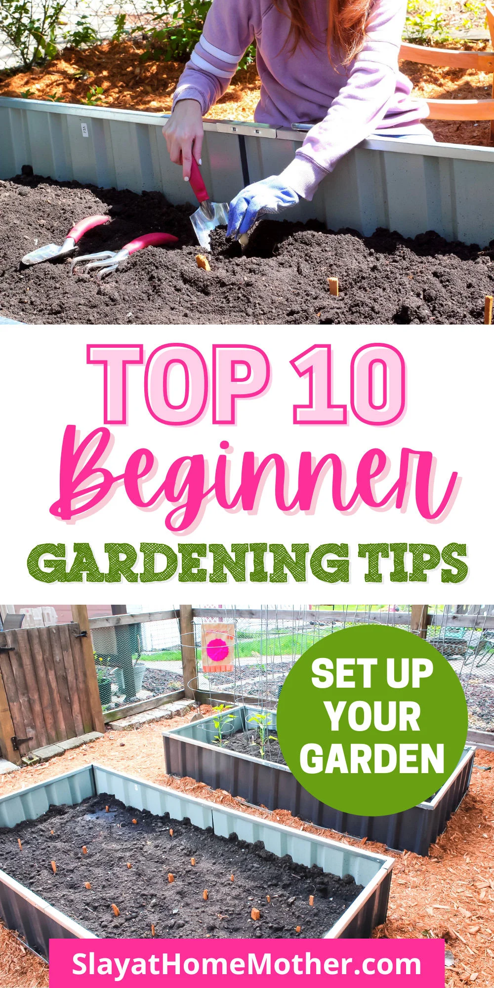 beginner gardening tips pin