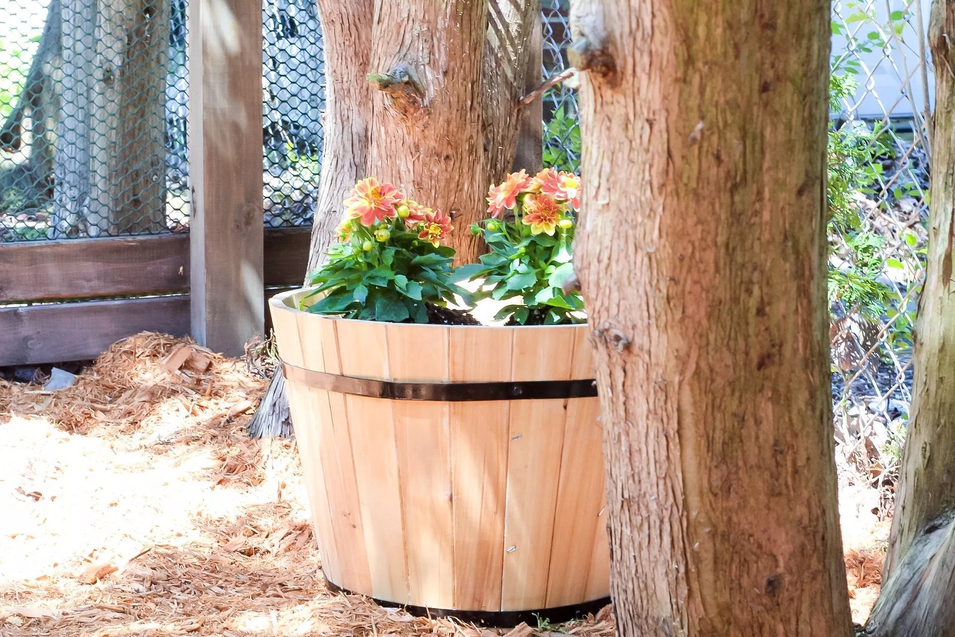 gardening tips - filling barrel