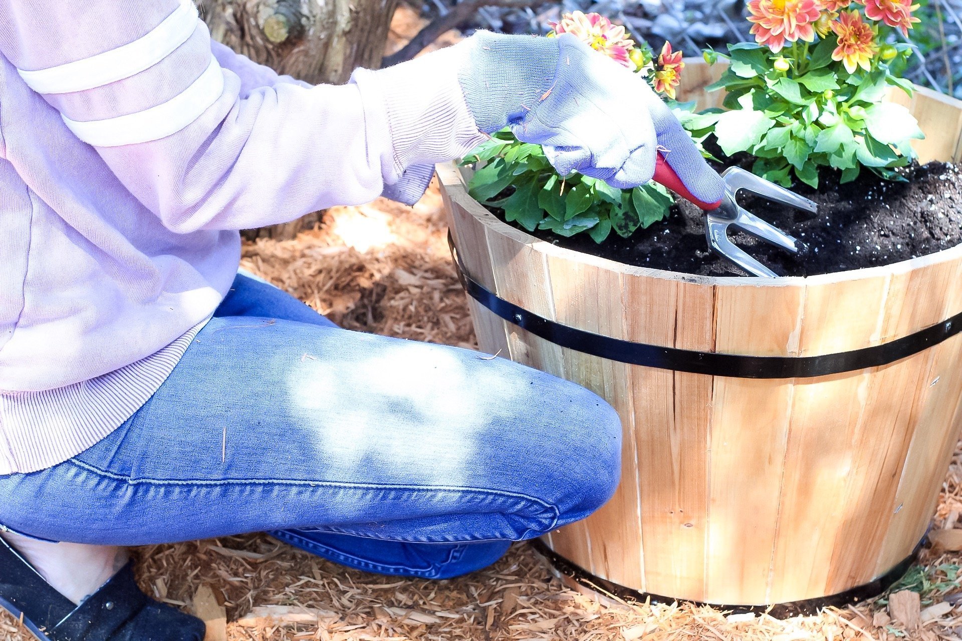 gardening tips - filling barrel