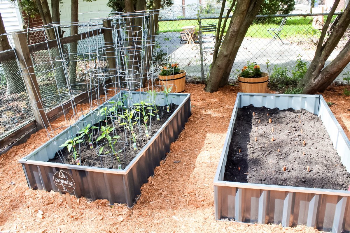 11 Benefits Of Raised Garden Beds Slay At Home Mother