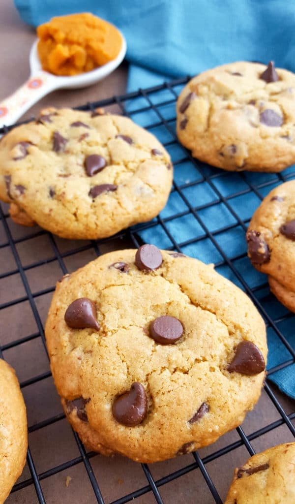 pumpkin chocolate chip cookies