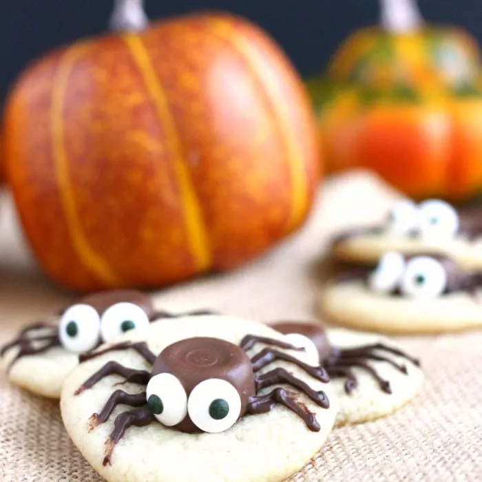 halloween spider cookie