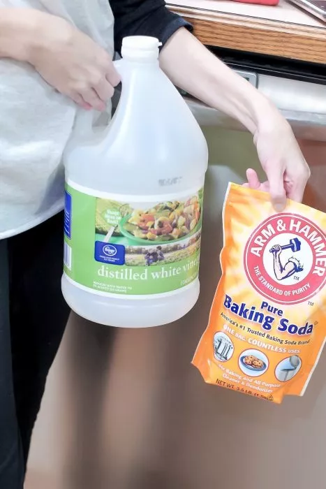 holding jug of vinegar and bag of baking soda