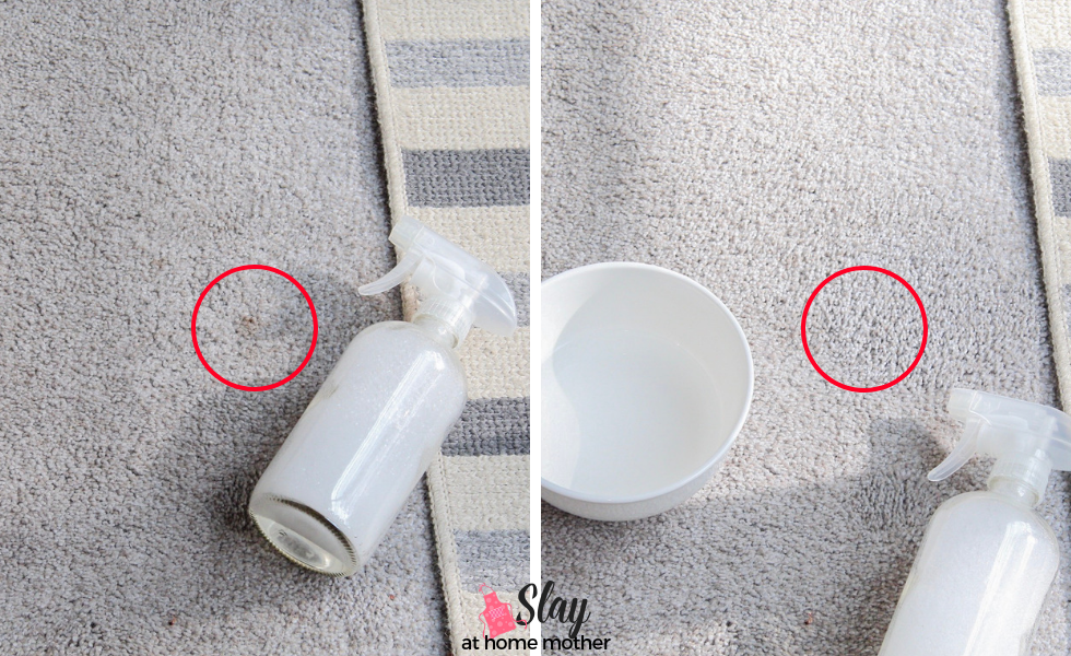 carpet cleaning before and after