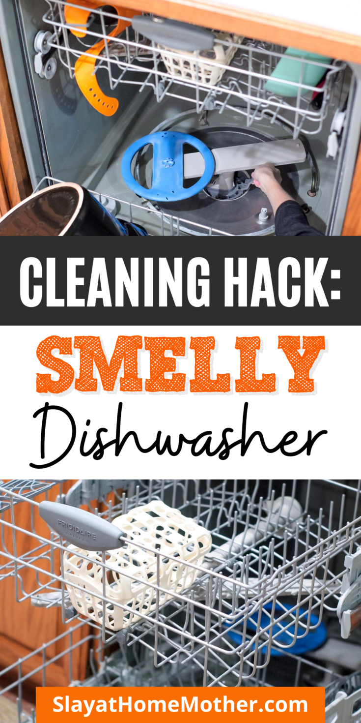 How To Clean A Smelly Dishwasher EASY CLEANING HACK!