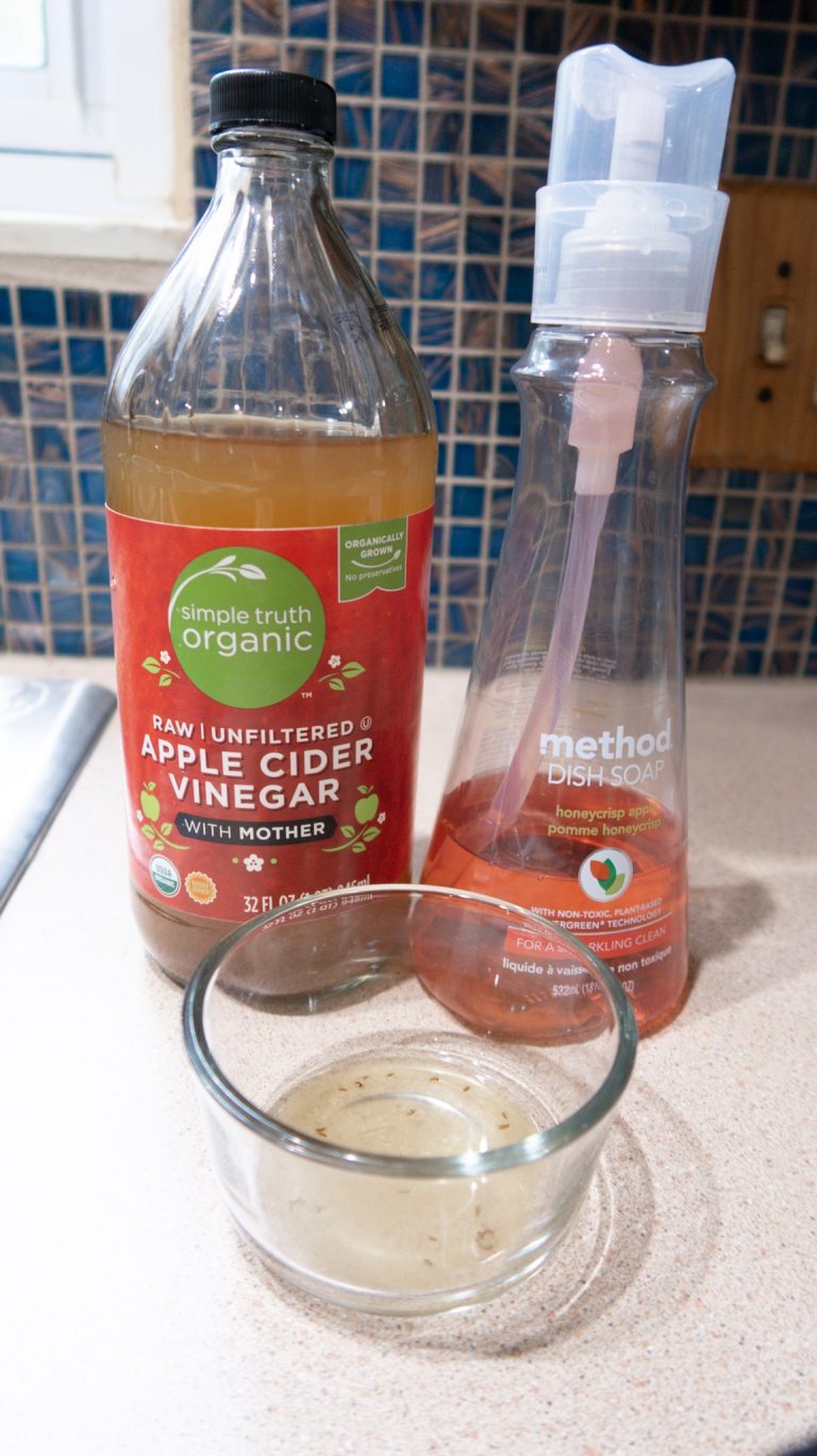 Homemade Fruit Fly Trap The BEST Way To Get Rid Of Fruit Flies!