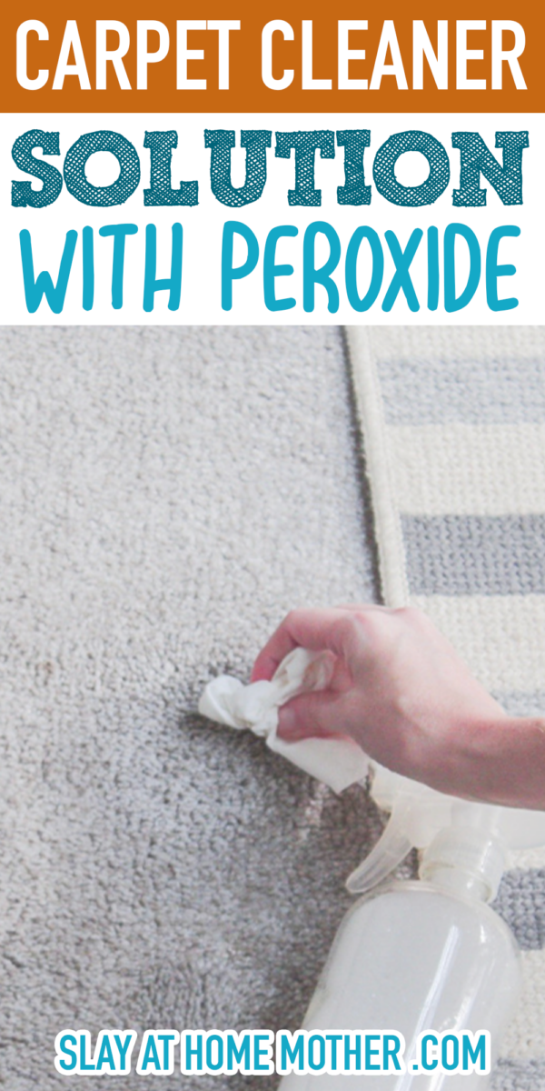 DIY Carpet Cleaning Solution (How To Spot Clean Carpet)