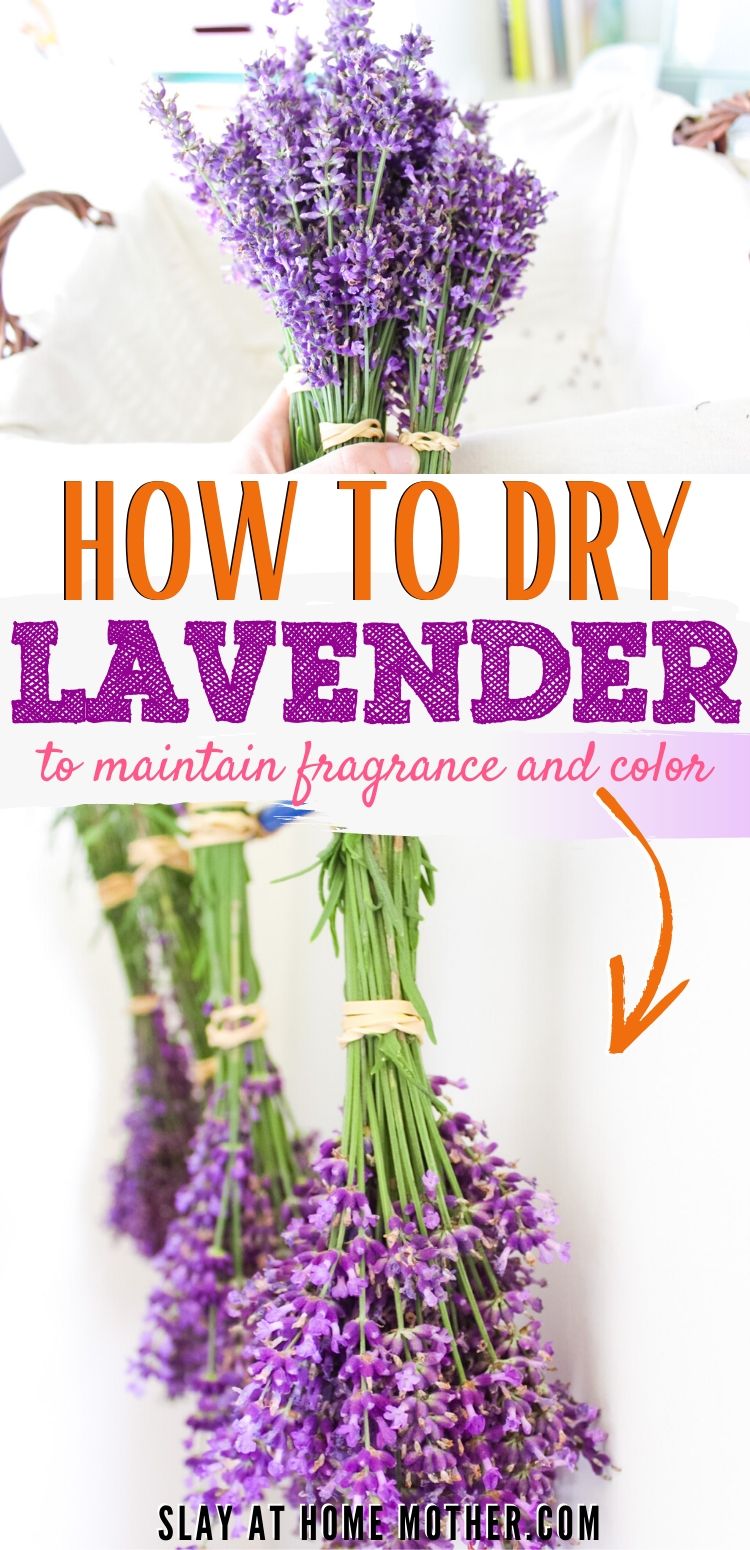 How to Dry Lavender