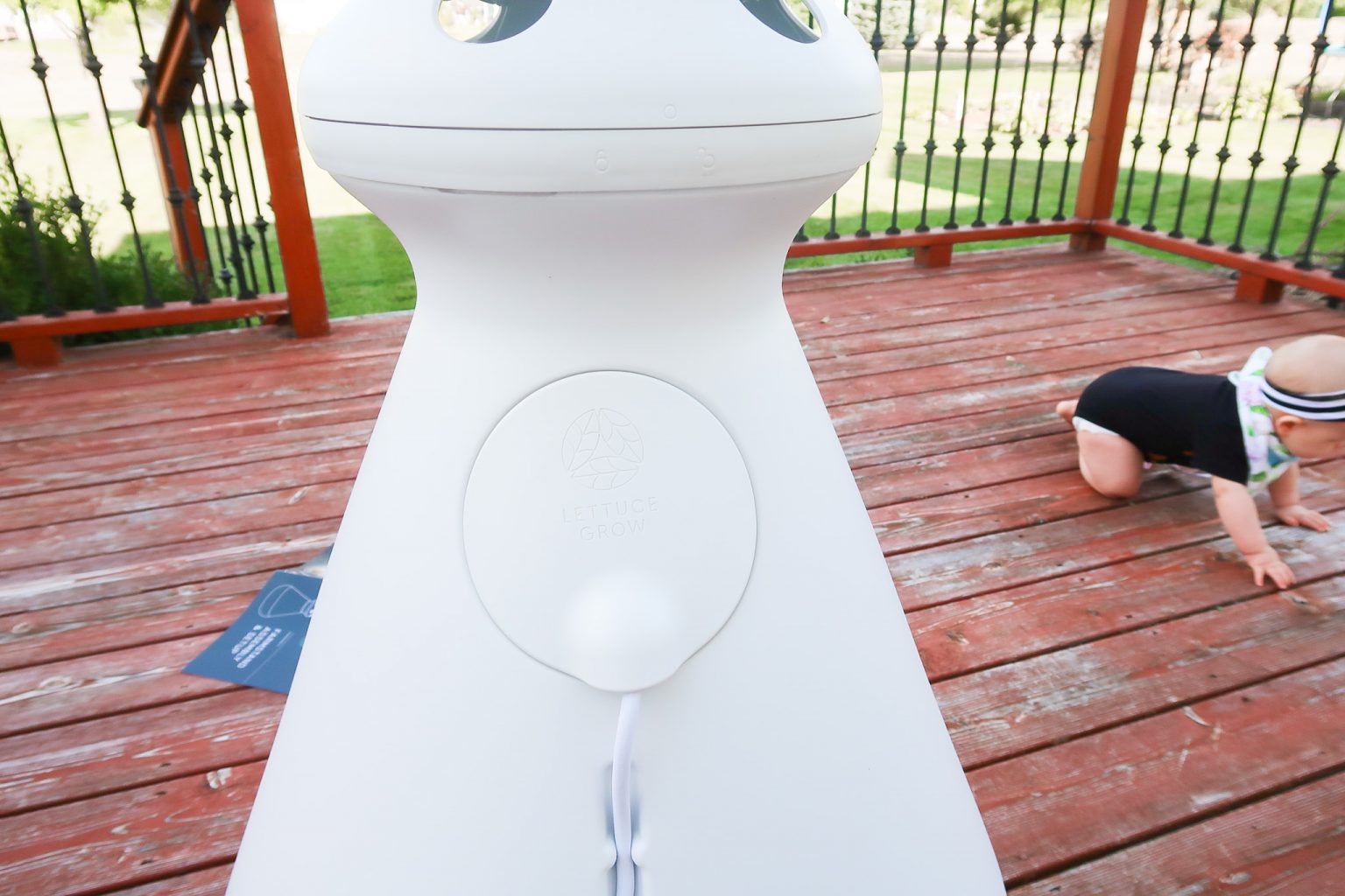 Lettuce Grow FarmStand Hydroponics System Review