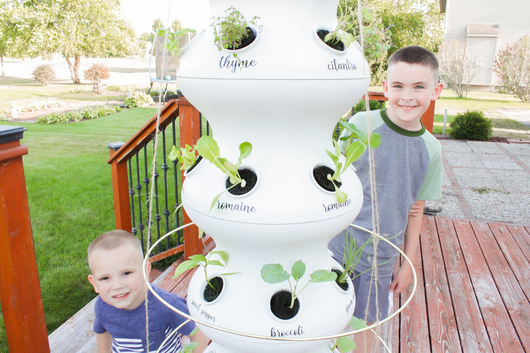 Lettuce Grow FarmStand: Hydroponics System Review