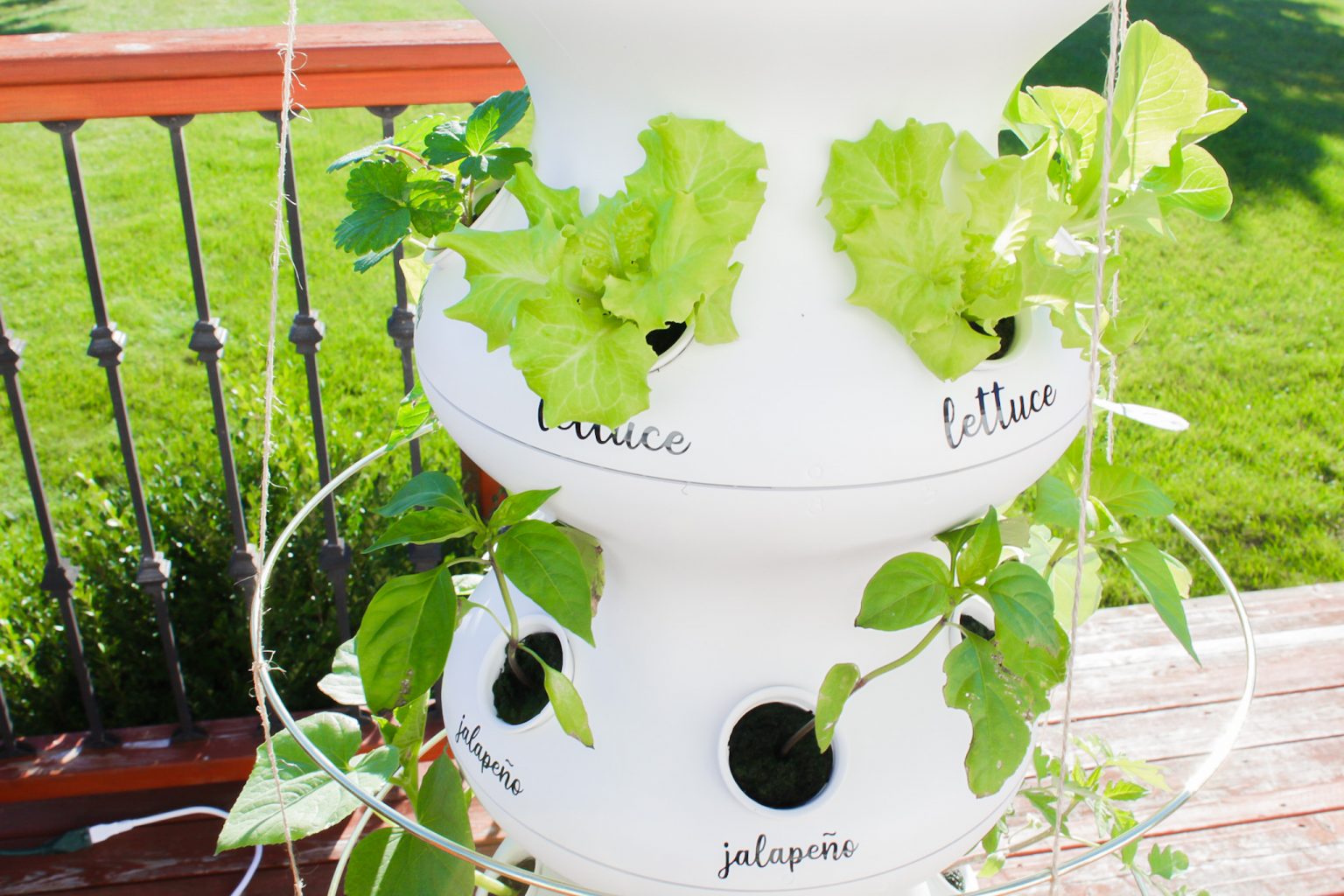 Lettuce Grow FarmStand Hydroponics System Review