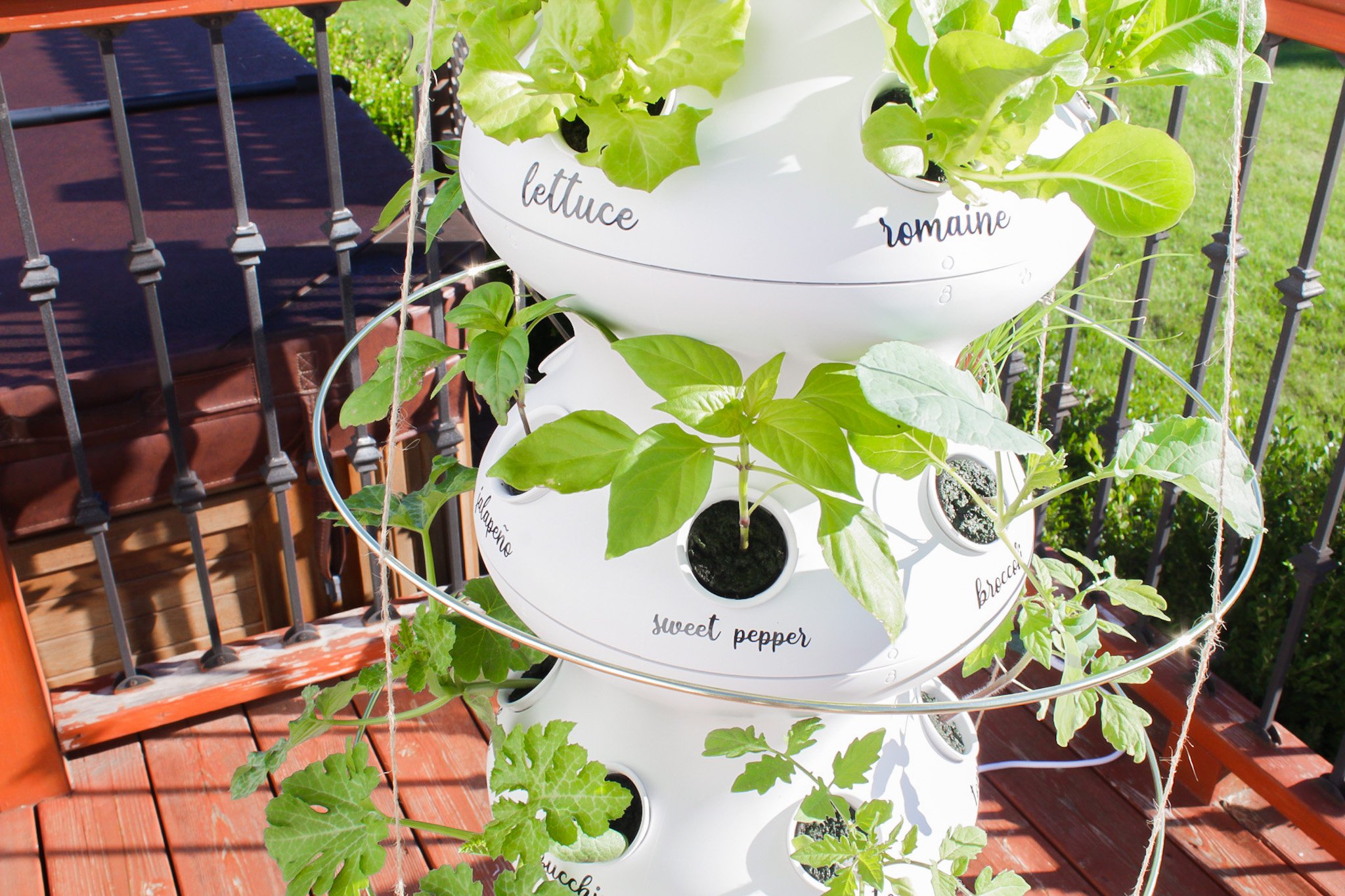 Lettuce Grow FarmStand Easy Hydroponics Gardening System Review