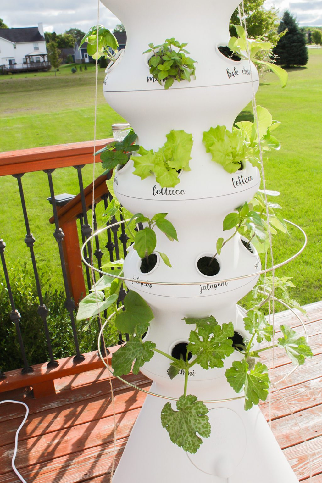 Lettuce Grow FarmStand Easy Hydroponics Gardening System Review