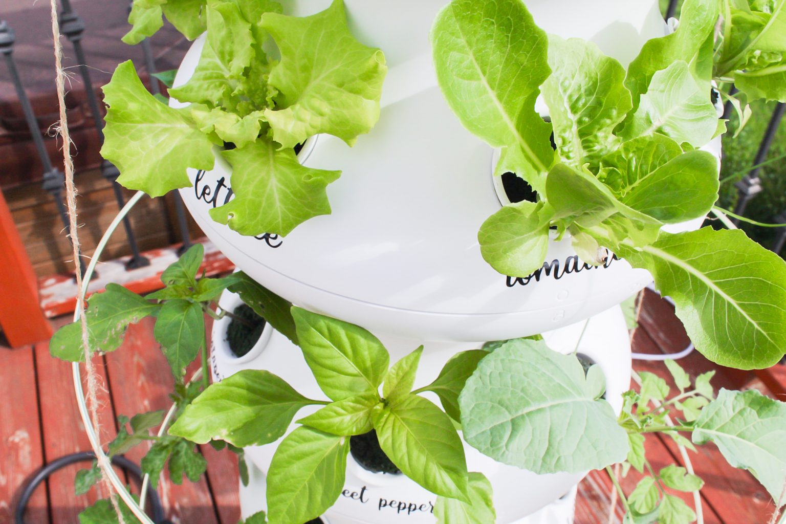 Lettuce Grow FarmStand Easy Hydroponics Gardening System Review