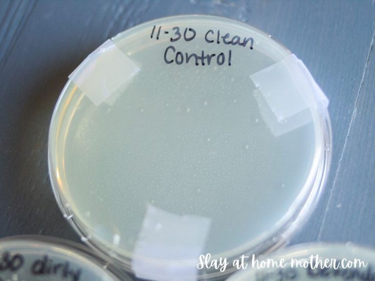 DIY Natural Disinfectant Spray With Essential Oils Slay At Home Mother