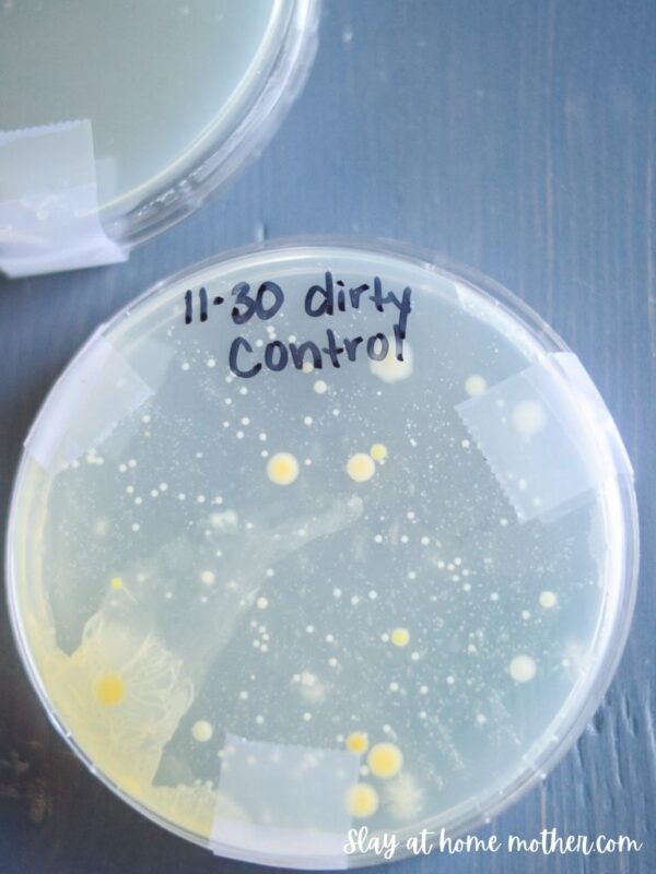 DIY Natural Disinfectant Spray With Essential Oils Slay At Home Mother