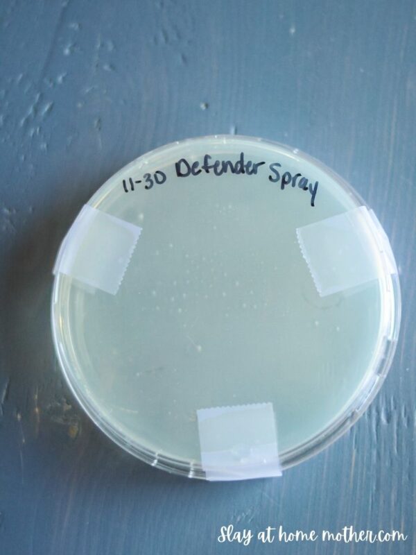 DIY Natural Disinfectant Spray With Essential Oils Slay At Home Mother