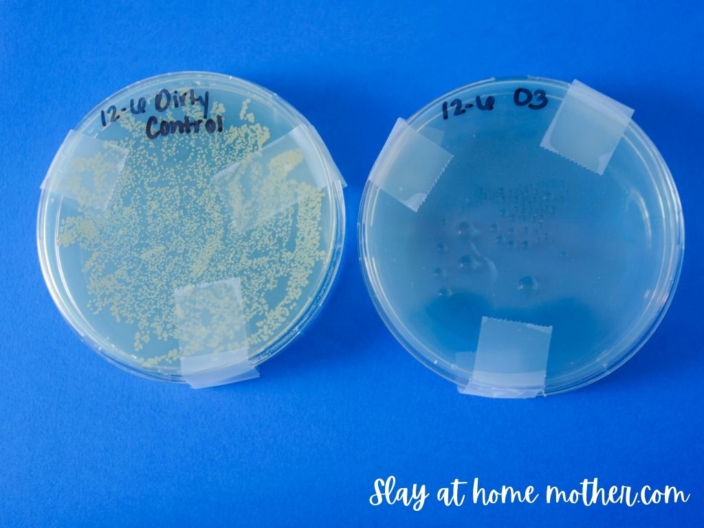 aqueous ozone cleaner results in petri dish