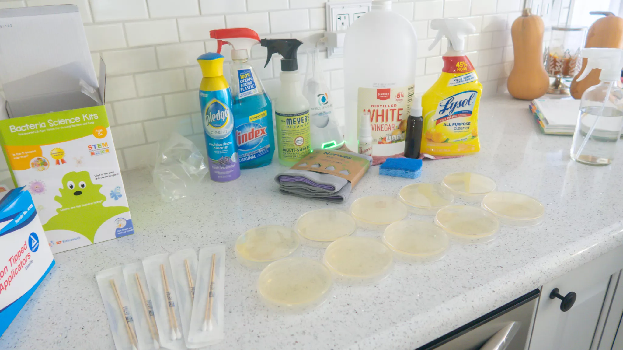 Testing The Efficacy Of Common Household Cleaners