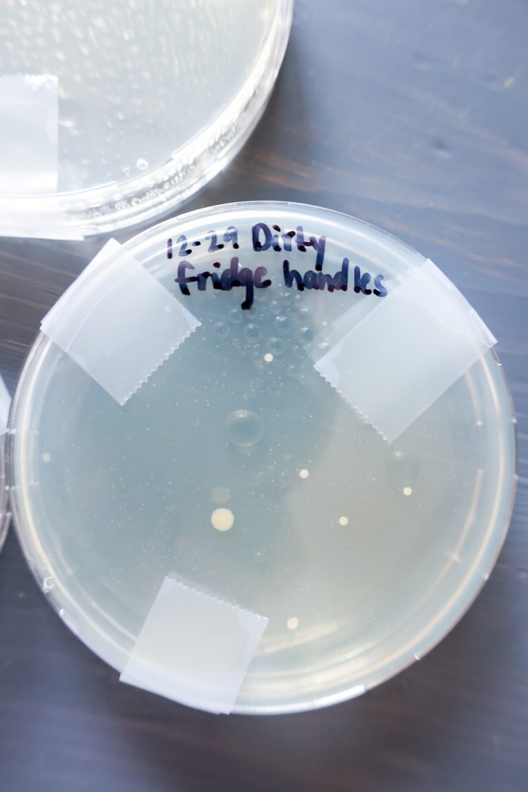 2021 NonToxic Cleaning Products Review + Branch Basics Coupon Code