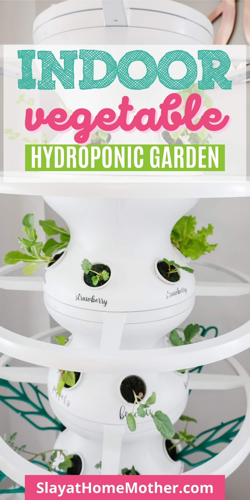 Indoor Vegetable Garden Lettuce Grow Farmstand Setup with Glow Rings