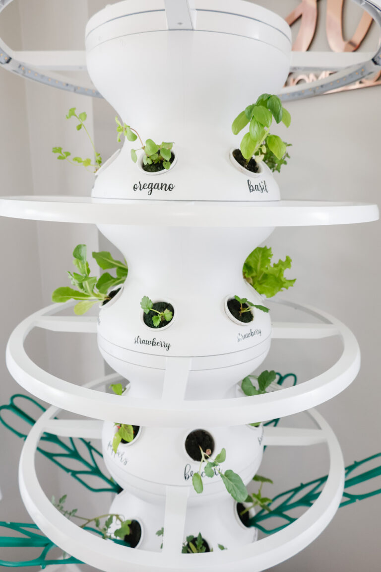 Lettuce Grow Farmstand Setup with Glow Rings