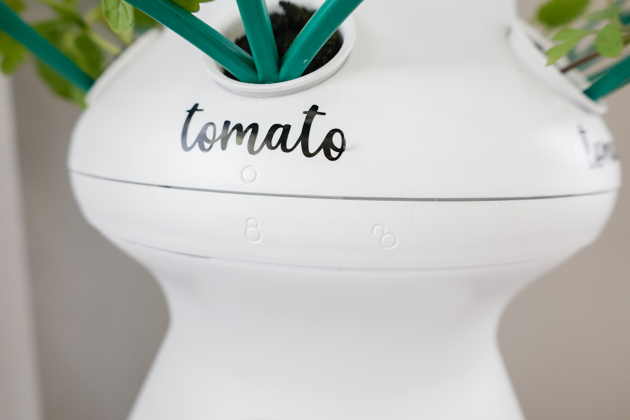 Indoor Vegetable Garden Lettuce Grow Farmstand Setup with Glow Rings