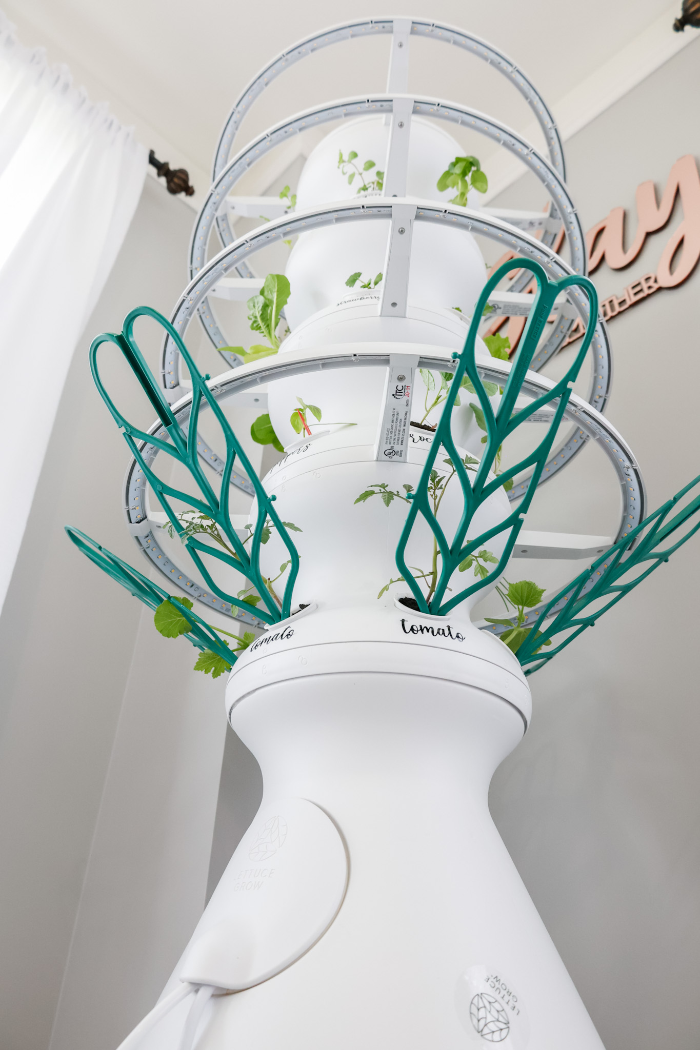 Indoor Vegetable Garden Lettuce Grow Farmstand Setup with Glow Rings