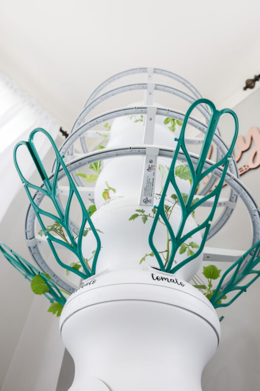 Lettuce Grow Farmstand Setup with Glow Rings