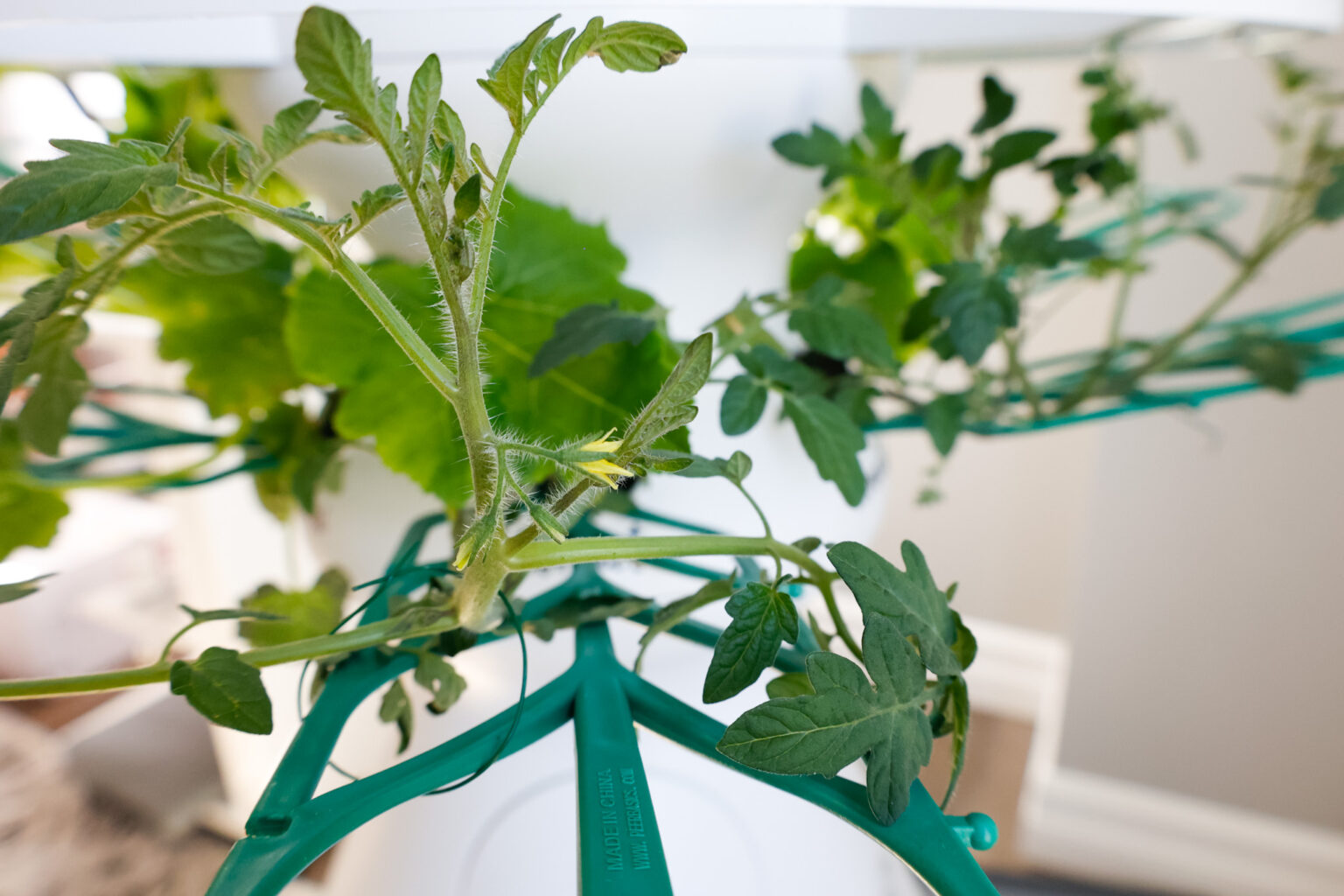 Indoor Vertical Garden 2 Week Check In Lettuce Grow Farmstand