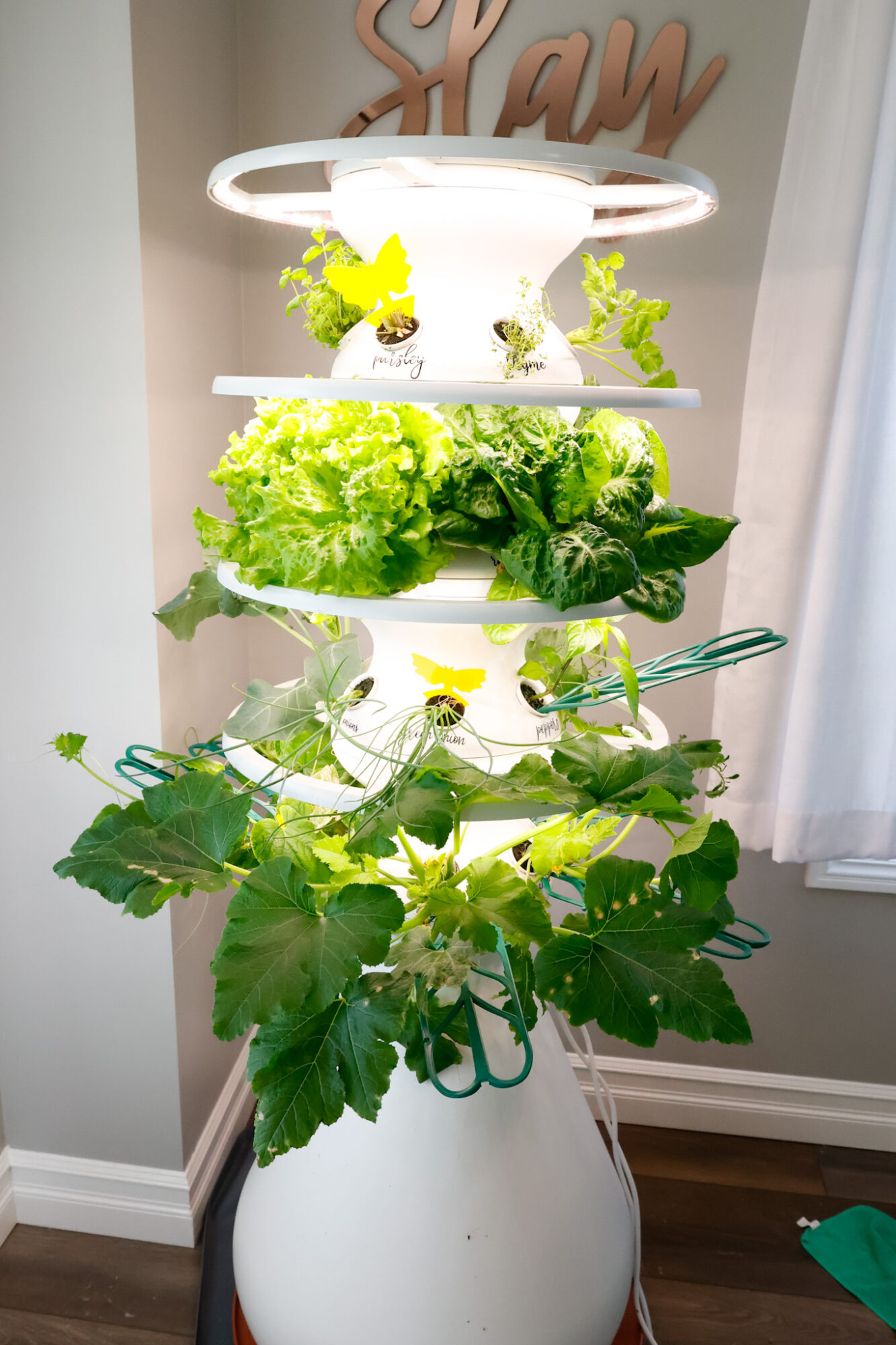 The Only Lettuce Grow Farmstand Review You Need To Read