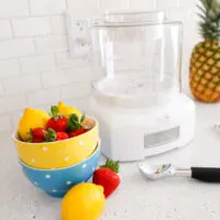 ice cream maker