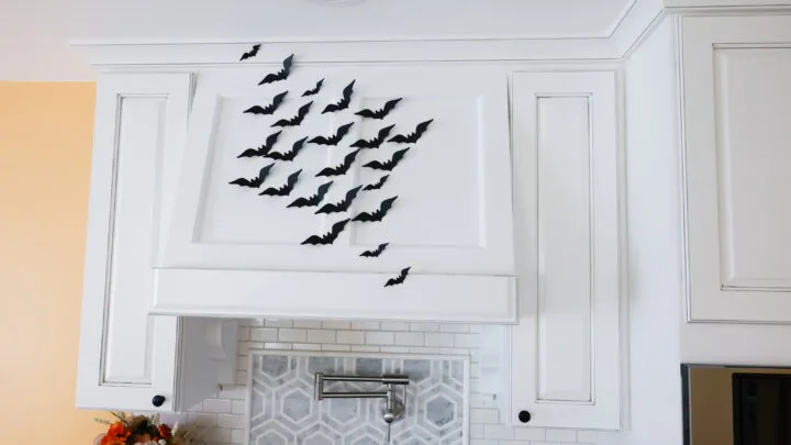 DIY Halloween Bat Decor &ndash; 5 Minute Craft