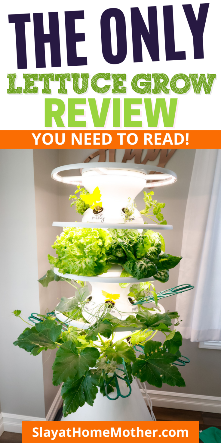 The Only Lettuce Grow Farmstand Review You Need To Read
