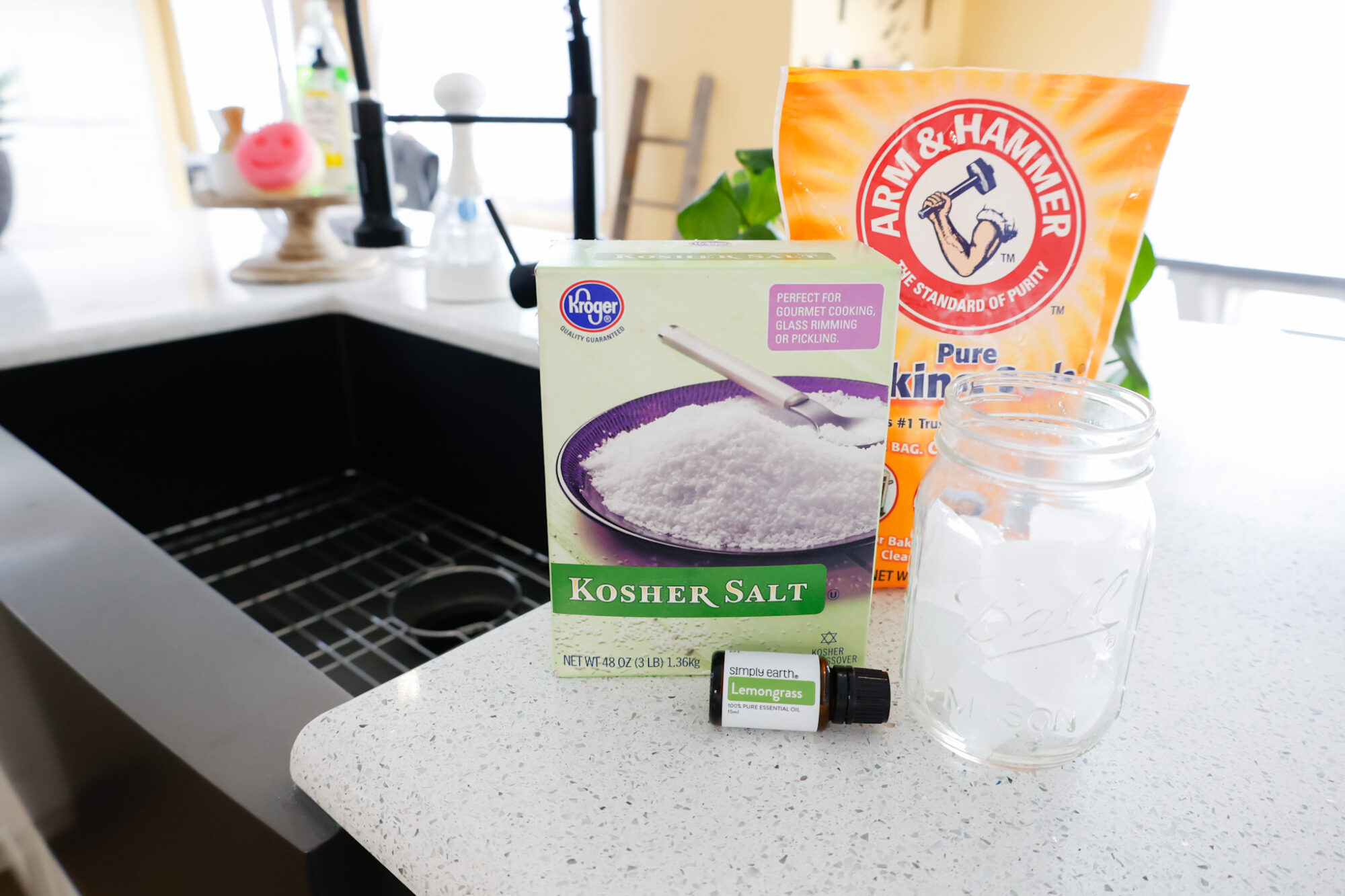 ingredients needed to clean a garbage disposal