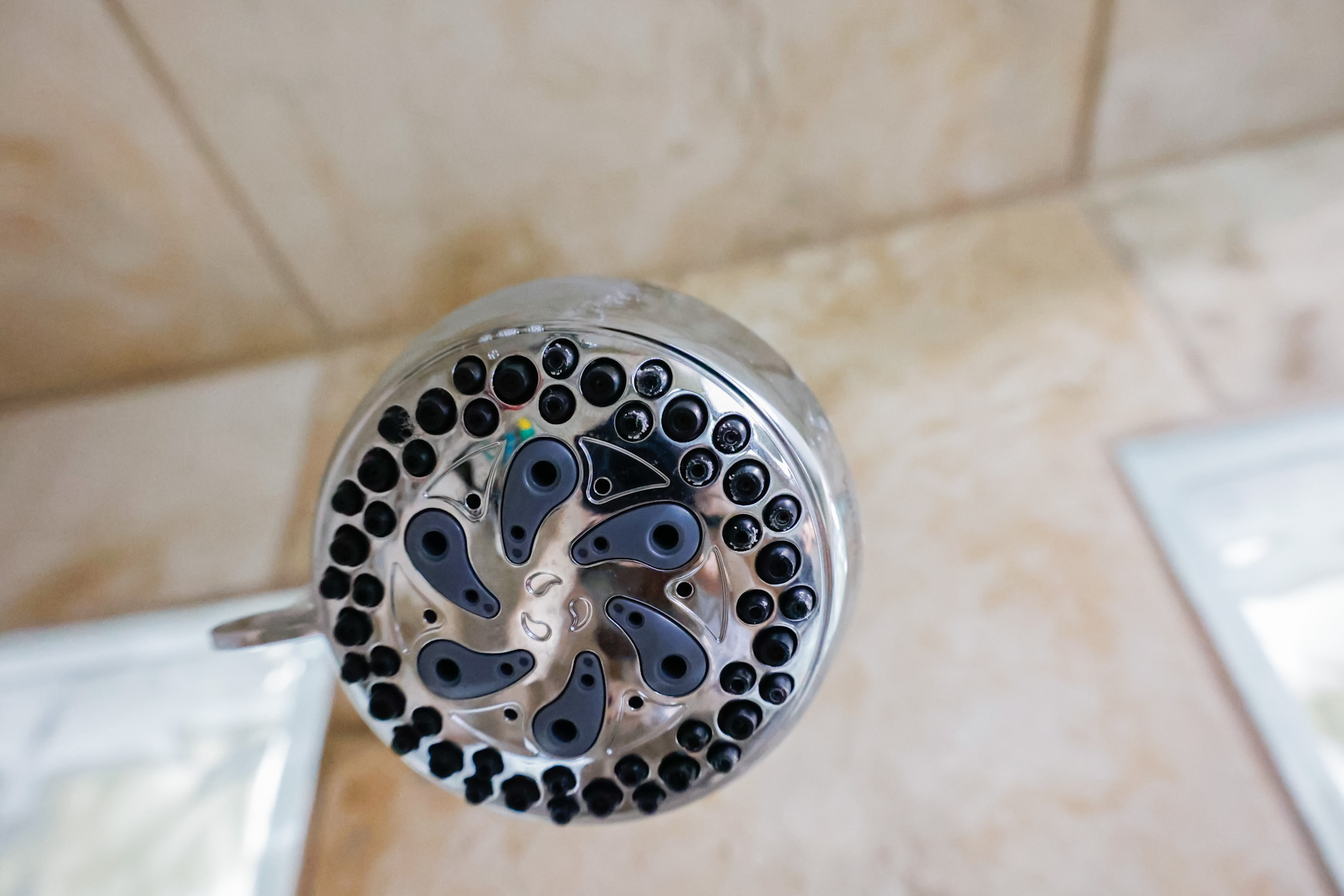 How to Clean & Descale A Shower Head: Easy Cleaning Hack  Cleaning shower  head, Shower head cleaner, Shower cleaning hacks