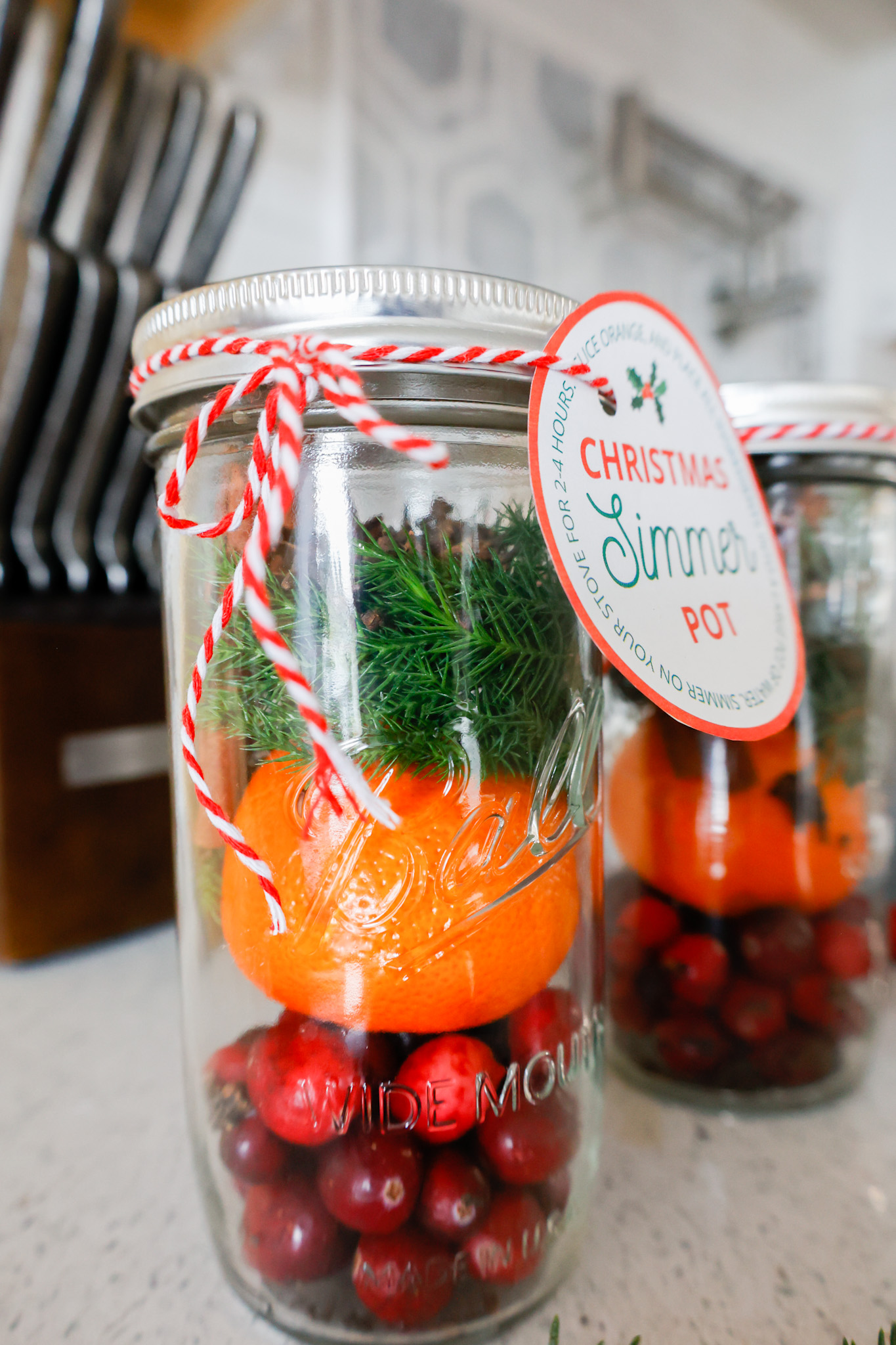 Christmas Simmer Pot Gifts & Printable Gift Tags - Slay At Home Mother