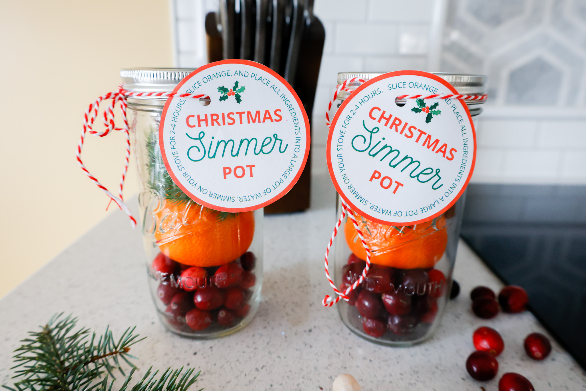 Christmas Simmer Pot (Holiday Stovetop Potpourri) - Aileen Cooks