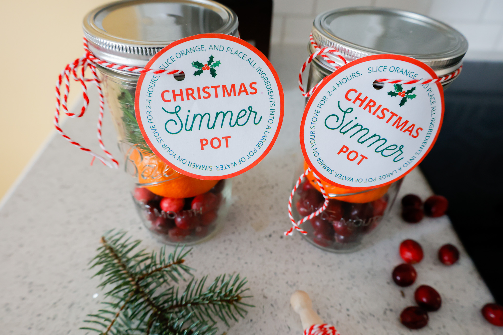 Christmas Simmer Pot Gifts & Printable Gift Tags - Slay At Home Mother