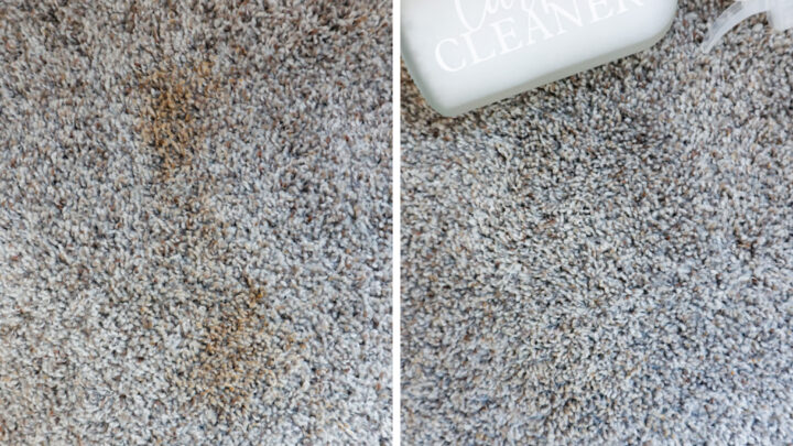 DIY Carpet Cleaning Solution (How To Spot Clean Carpet)