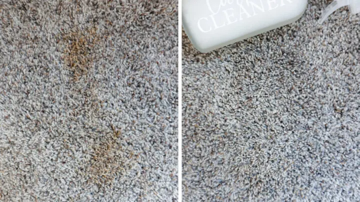Homemade Carpet Cleaner Solution (How To Spot Clean Carpet)