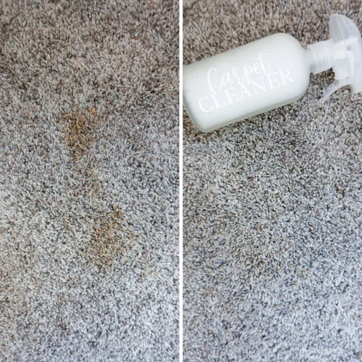 homemade carpet cleaner solution before and after