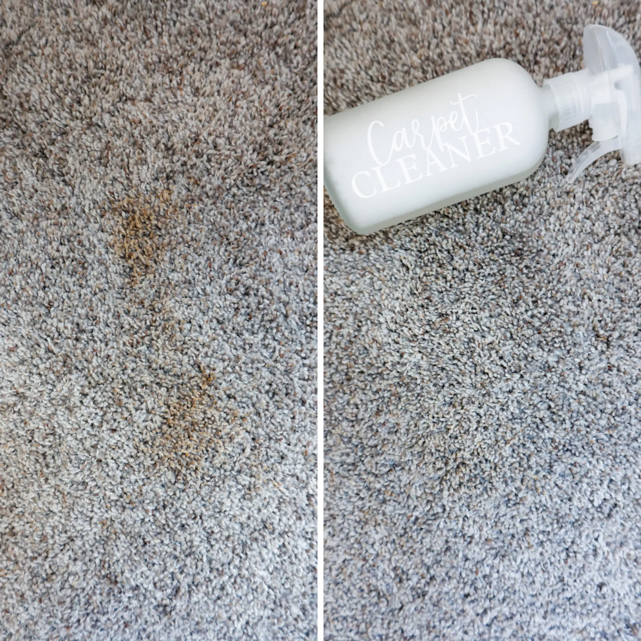homemade carpet cleaner solution before and after