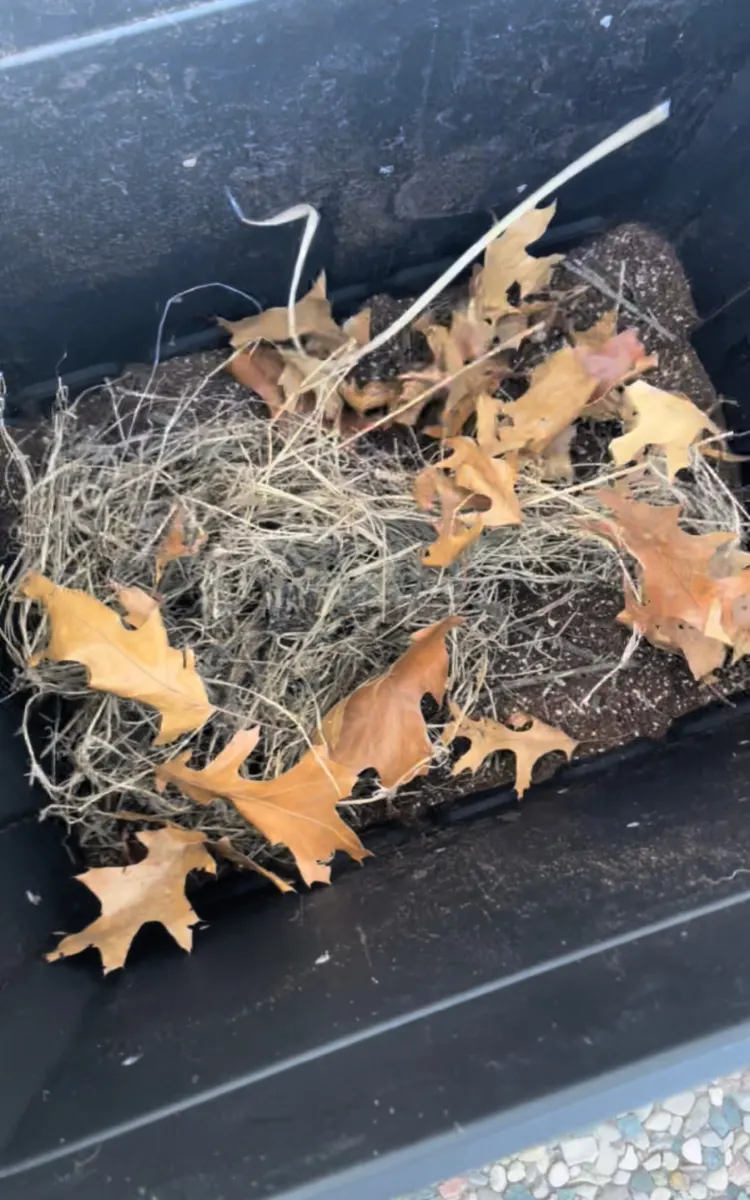 adding browns to diy compost bin