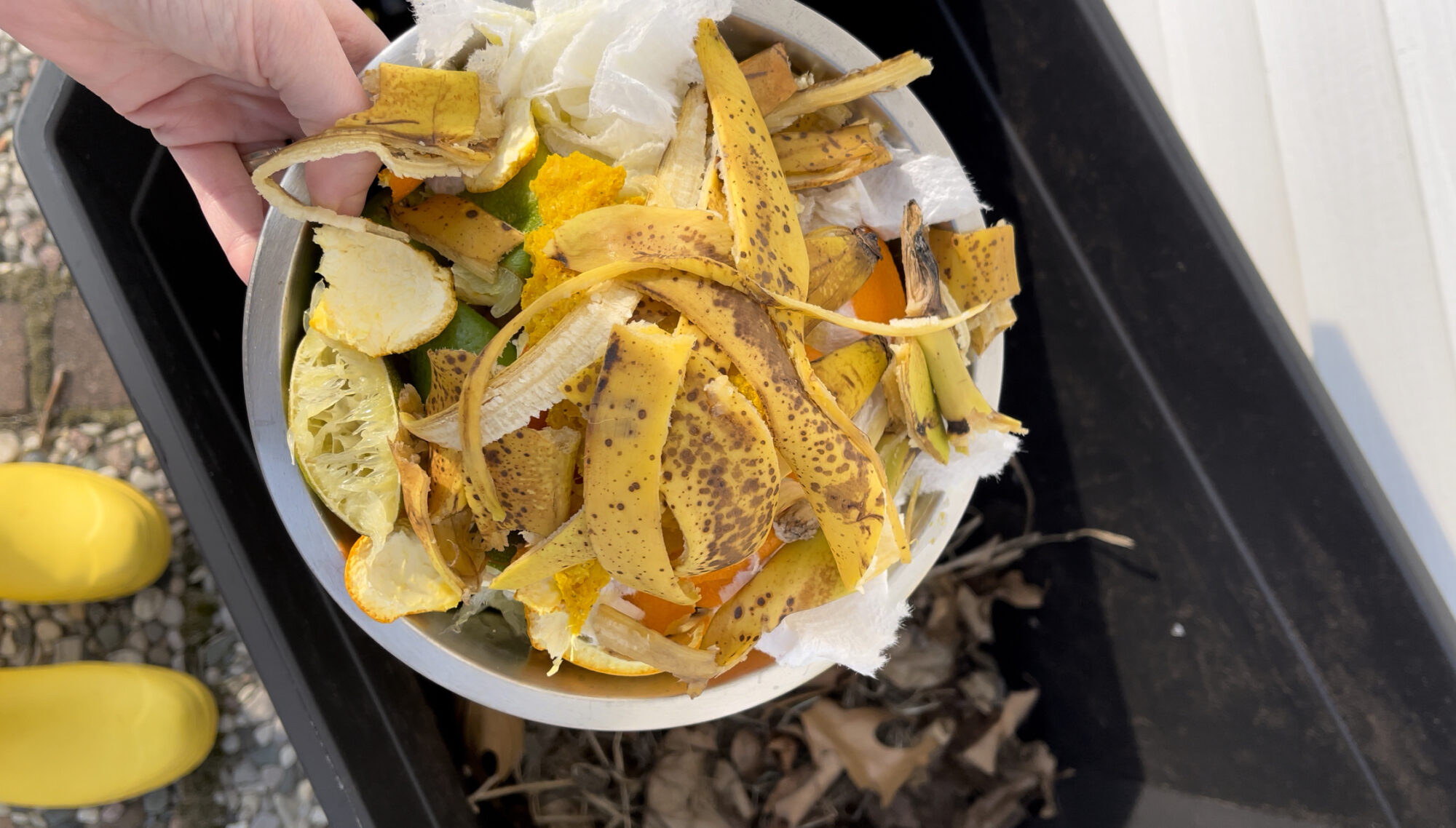 adding kitchen scraps to diy compost bin