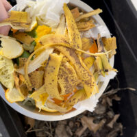 adding kitchen scraps to diy compost bin
